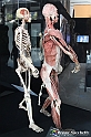VBS_3036 - Mostra Body Worlds